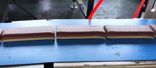 Laatste bedrijf oplossingen over Succesverhaal: Levering van Argentinië's eerste drielaagse chocolade-eiwitreep voor Carles