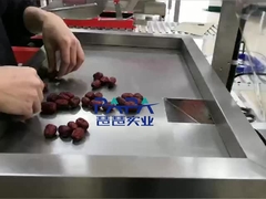 verticale voedselverpakkingsmachine CP01