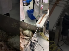 Productielijn voor datumsnoer met aardnoten- en kokosnotencoating