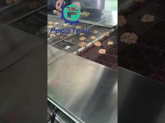 walnoot met chocoladecoating