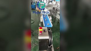 productielijn voor havermoutproteïneballen