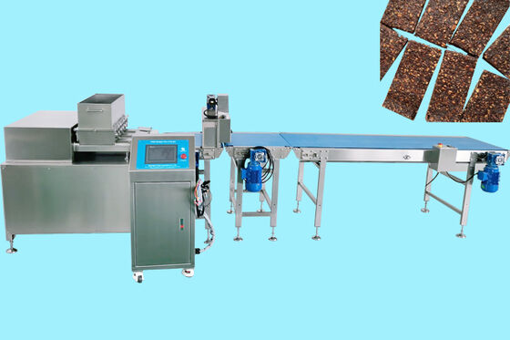 Goede prijs P400 Dadelreep Extruder 400-600 kg per Uur Machine voor Grote Capaciteit Productie online